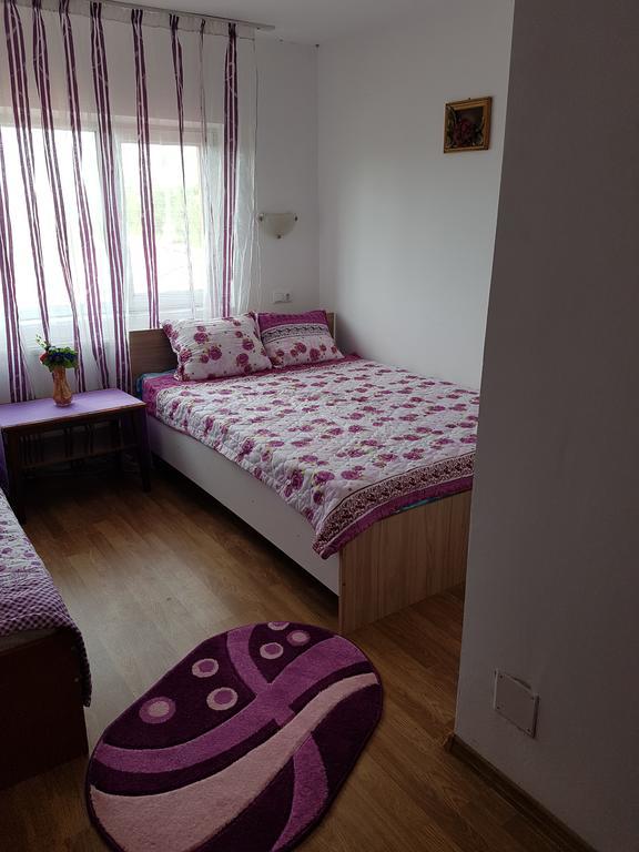 Casa Rustica Apart & Rooms Cîmpineanca Eksteriør bilde