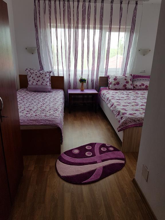 Casa Rustica Apart & Rooms Cîmpineanca Eksteriør bilde