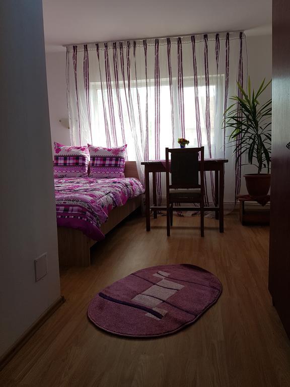 Casa Rustica Apart & Rooms Cîmpineanca Eksteriør bilde