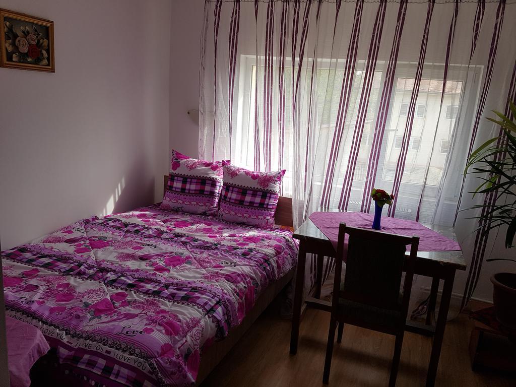 Casa Rustica Apart & Rooms Cîmpineanca Eksteriør bilde