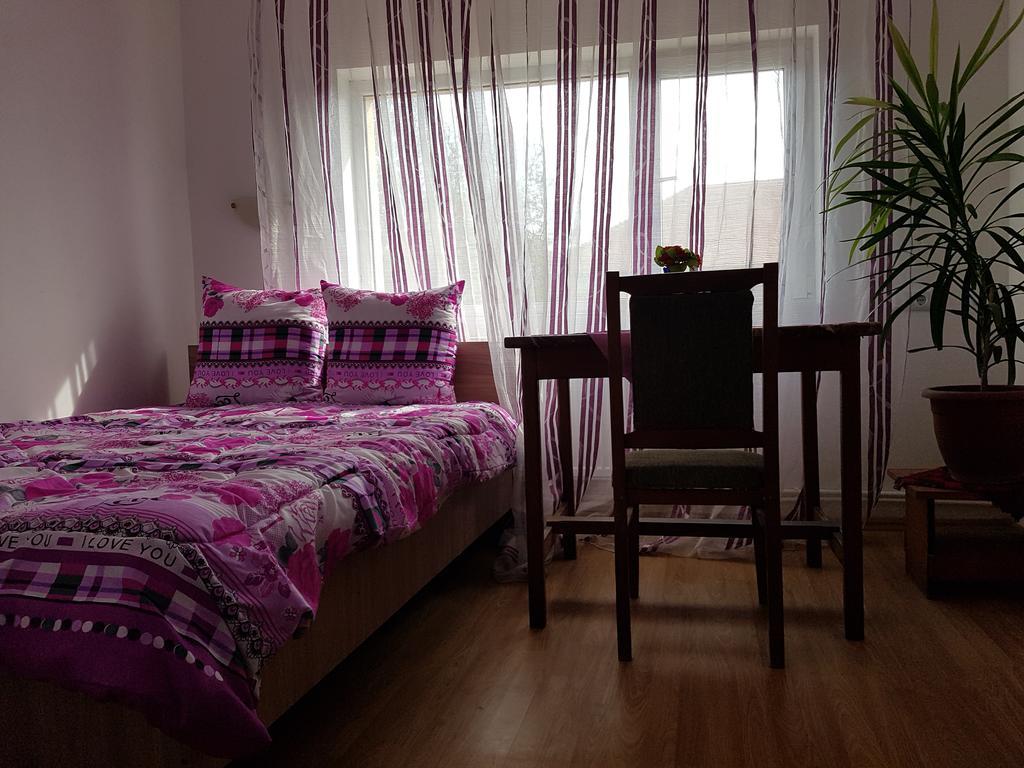 Casa Rustica Apart & Rooms Cîmpineanca Eksteriør bilde